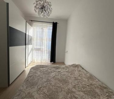 Timisoara Apartamento | Rose Residence