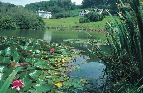 Liskeard Cabaña | Rosecraddoc Manor - Heron