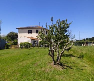 Vada Apartamento | Rosignano Marittimo Rosa Bianca