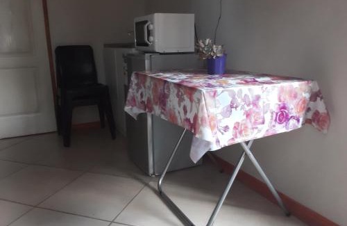 Upington Casa | Rosy Palm Sunrise