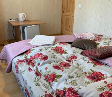 Trakai Apartamento | Rotušė