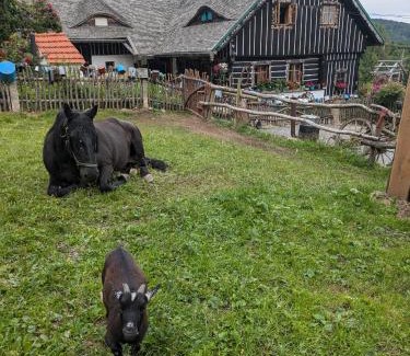 Zdikov Casa | Roubenka na Šumavě