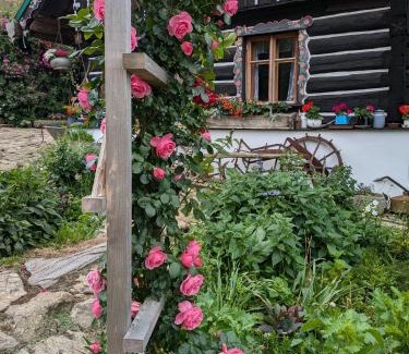 Zdikov Casa | Roubenka na Šumavě