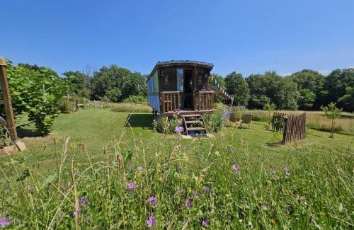 Sigalens Casa | Roulotte Fleur des Champs