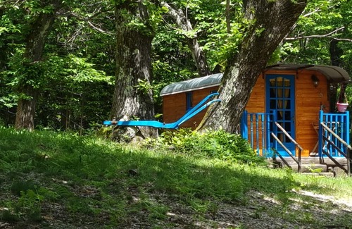 Valgorge Cabina | Roulotte Bleuet, en un entorno natural.