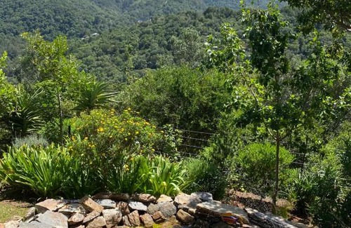 Wilderness Apartamento | Round the Bend
