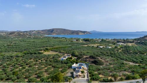 Vigla Apartamento | Rousolakos Pool Apartments