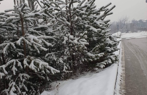 Shiligarnika Apartamento | Royal Bansko Aparthotel 206D