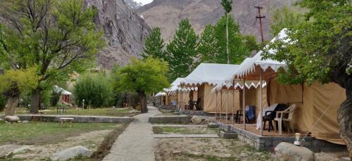 Hunder Cama Y Desayuno | Royal Deluxe Camp & Resort, Hunder- Nubra