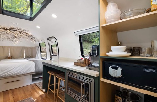 Pisgah Forest Villa | Royal Fern in Pisgah Forest