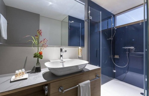 Basel City Centre Hotel | Royal Hotel