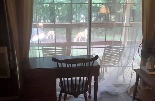 Gouldsboro Casa | Royal Studio Suite