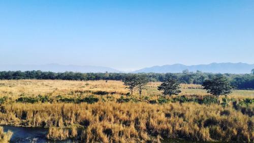 Bardia Casa | Royal Tiger Cottage