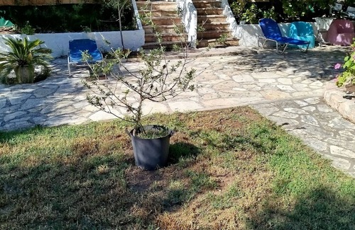 Sivota Apartamento | Rozalia Studios