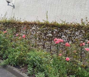 Armentieres Apartamento | Rozenhof - Appartement au coeur d'Armentieres