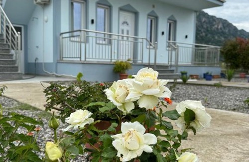 Velipoje Casa | Rrjolli View Beach