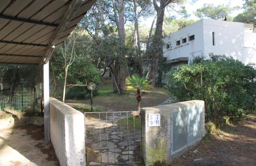 Marina di Castagneto Carducci Apartamento | Rubino a soli 150m dal mare con posto auto