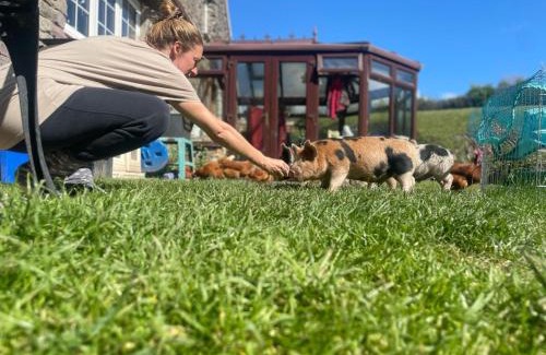 Marwood Casa | Ruby's Retreat! Farm Stay! North devon! Sleeps 6! Beaches Exmoor!
