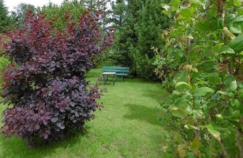 Garz/Rugen Apartamento | Ruegen Fewo 61
