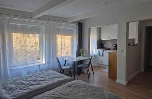 Flensburg Apartamento | Ruhige Einzimmerwohnung