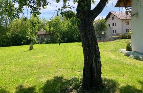 Unterallgau Apartamento | Ruhige Ferienwohnung inklusive Garten Souterrain - neu renoviert