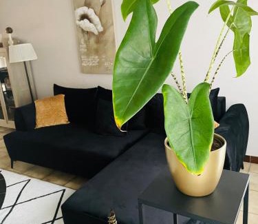 Wevelgem Casa | Ruime gedeelde woning met privé-kamer en modern comfort