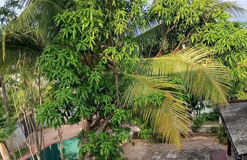 Rumassala Casa | Rumassala Heritage Villa