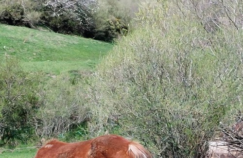 Llanaves de la Reina Casa | Alojamiento rural con chimenea, en Picos de Europa