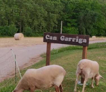 Palol de Revardit Casa | Rural Can Garriga