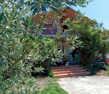 Pamvotida Apartamento | Rural hοuse