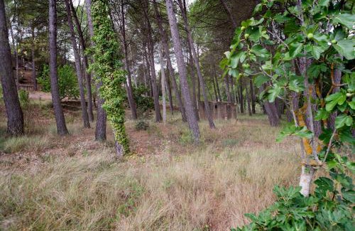 Siete Aguas Casa | Rural Kairós "Un espacio con alma"