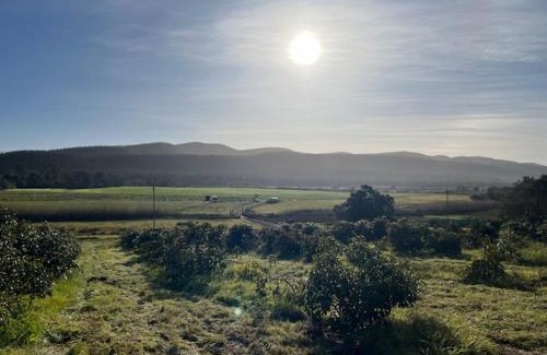 Knysna Chalet De Esquí | Rushmere Cottage