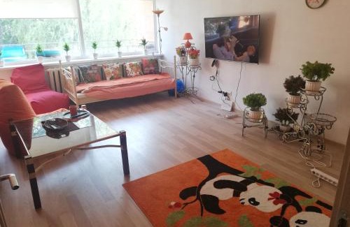 Rusne Apartamento | Rusne apartment