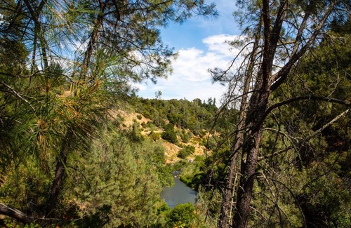 Cloverdale Complejo | Russian River Camping Resort Studio Cabin 4