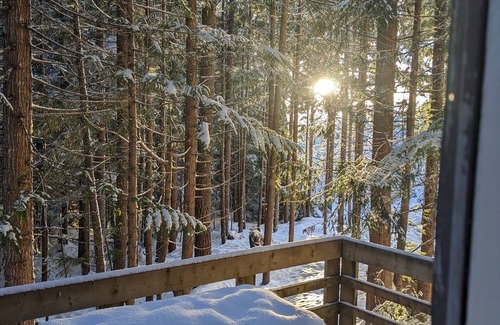 Courtenay Chalet De Esquí | Rustic A frame Chalet. Hiking & Biking access at your door! * Glamping *