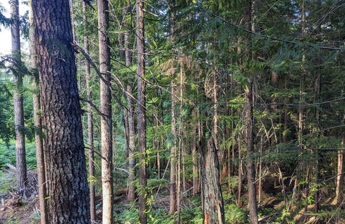 Courtenay Chalet De Esquí | Rustic A frame Chalet. Hiking & Biking access at your door! * Glamping *