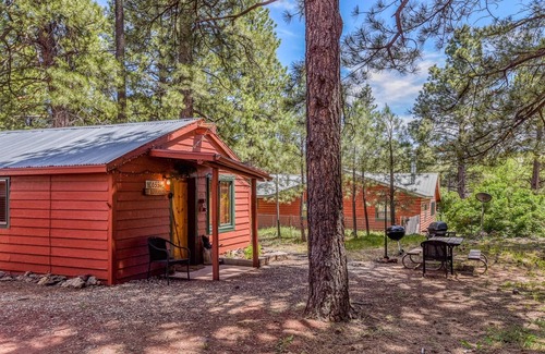 Parks Cabina | Rustic Adventure w/ Historic Log Cabin / Forest Views / 20 minutes from