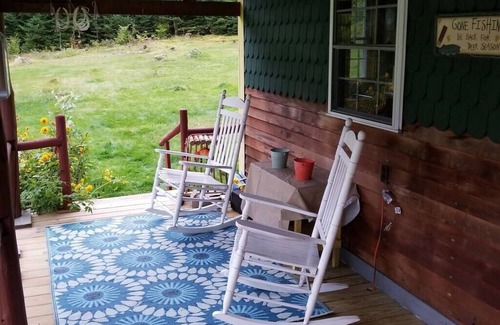 Carroll Casa | Rustic Bear Cabin w/ Hot tub