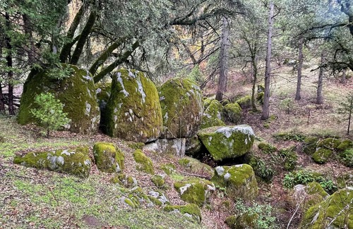 Placerville Alquiler De RV | Rustic Glamping Tent Retreat in Private Forest