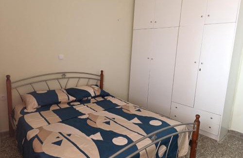 Vasilikon Apartamento | Rustic Bright Appartment near Lefkanti Beach