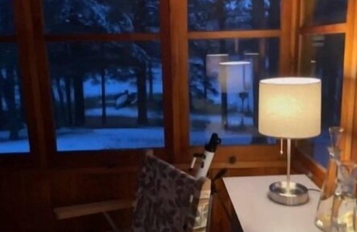 Bigfork Cabina | Rustic cabin in remote wooded area on point overlooking lake.