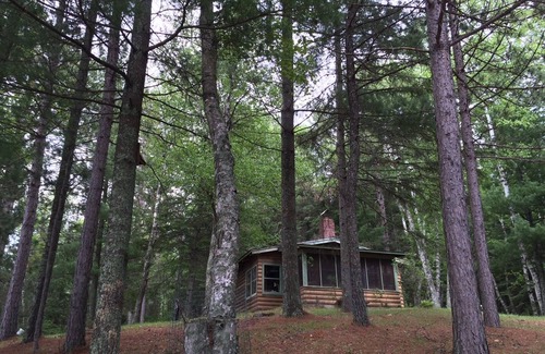 Bigfork Cabina | Rustic cabin in remote wooded area on point overlooking lake.