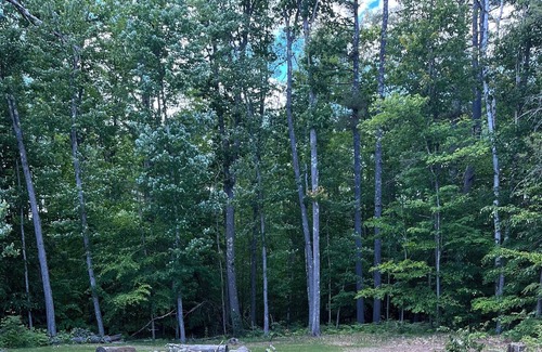 Concord Cabina | Rustic cabin-style on RIVER Northwest of Concord Nh within minutes of Penecook