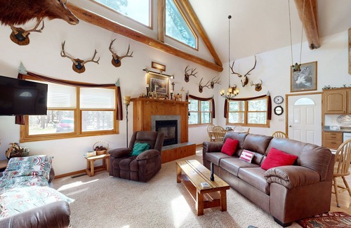 Nemo Cabina | Rustic cabin w/ expansive outdoor space, gas firepit, W/D & free WiFi