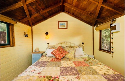 Alexandra Casa | Rustic cabin with hot tub - Homewood Forest Retreat