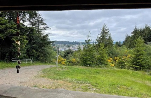 Bunker Hill Cabina | Rustic Cabin Wrap-around View
