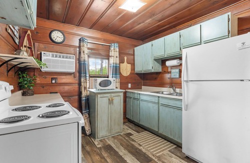 Boone County Cabina | Rustic charm/Cozy comfort-1-bedroom cabin/Ozark view nestled by Bull Shoals Lake