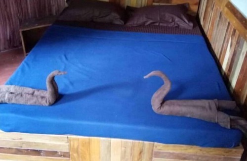 Kaimane Casa | Rustic Charm Wayanad - Tranquil times (Capsule)