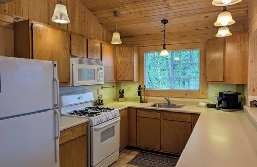 Sayner Cabina | Rustic Fawn at White Birch Lake | Fireplace, AC, Lake Access w/ Dock, Dogs OK