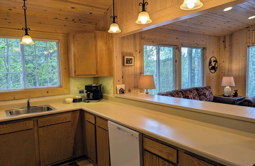 Sayner Cabina | Rustic Fawn at White Birch Lake | Fireplace, AC, Lake Access w/ Dock, Dogs OK
